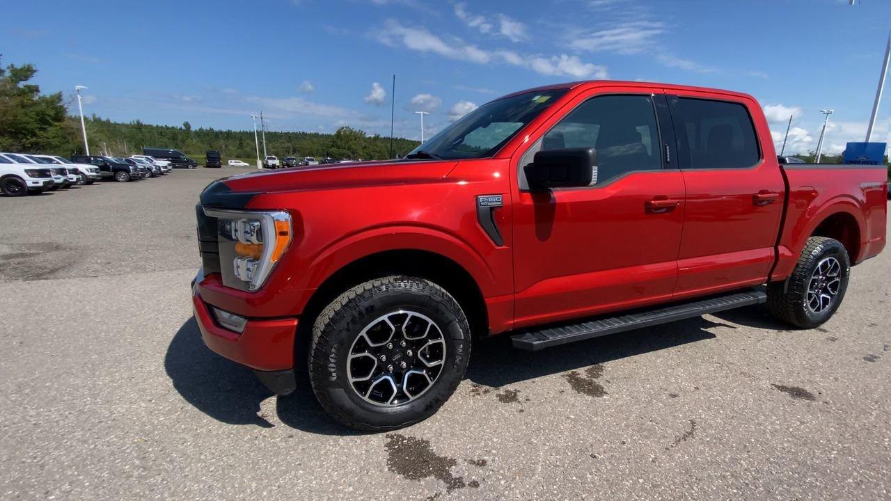 2023 Ford F-150 XLT Photo
