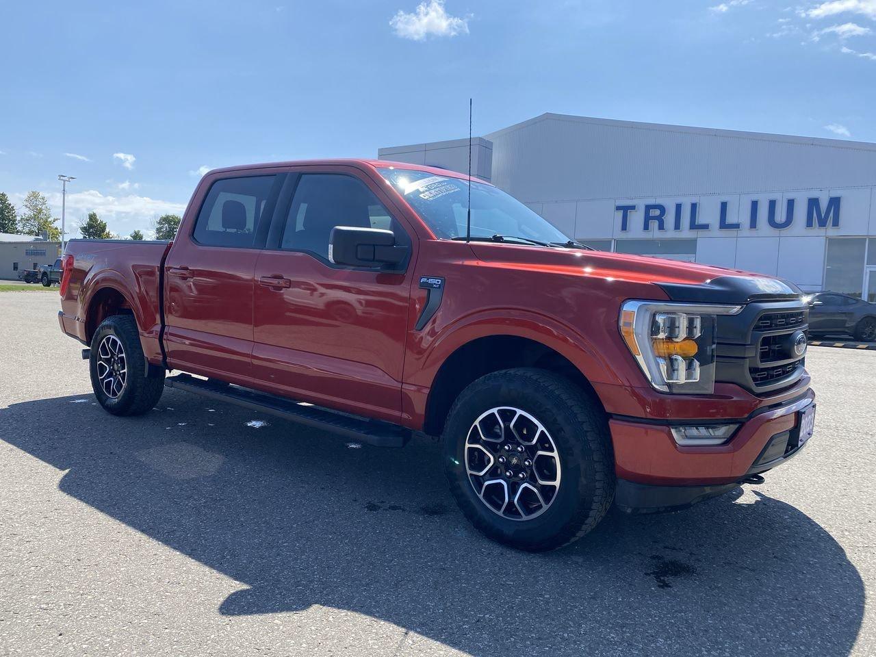 2023 Ford F-150 XLT Photo