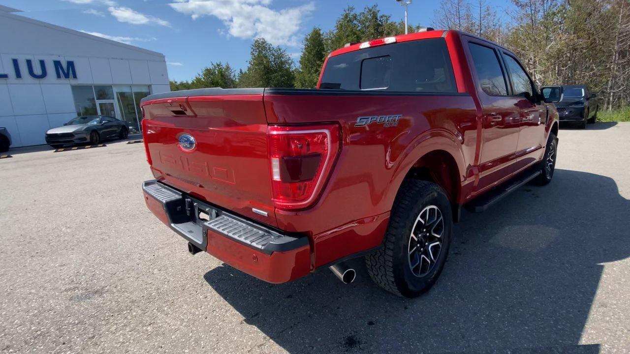 2023 Ford F-150 XLT Photo