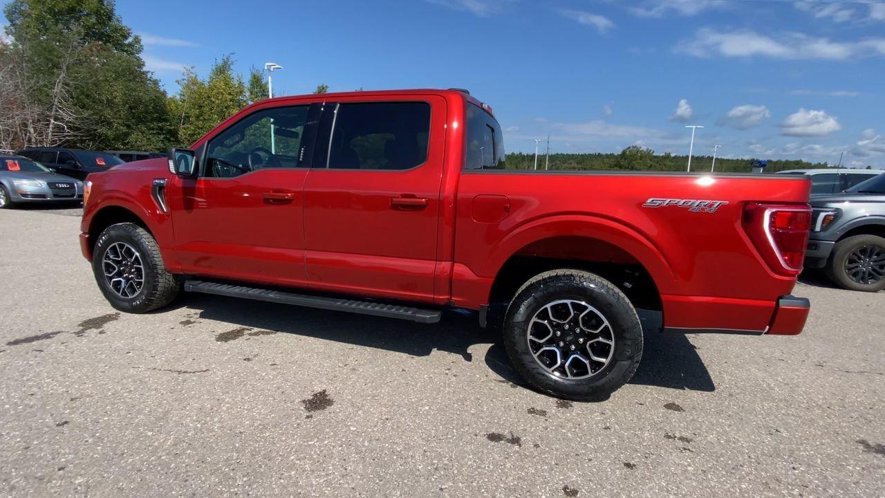 2023 Ford F-150 XLT Photo