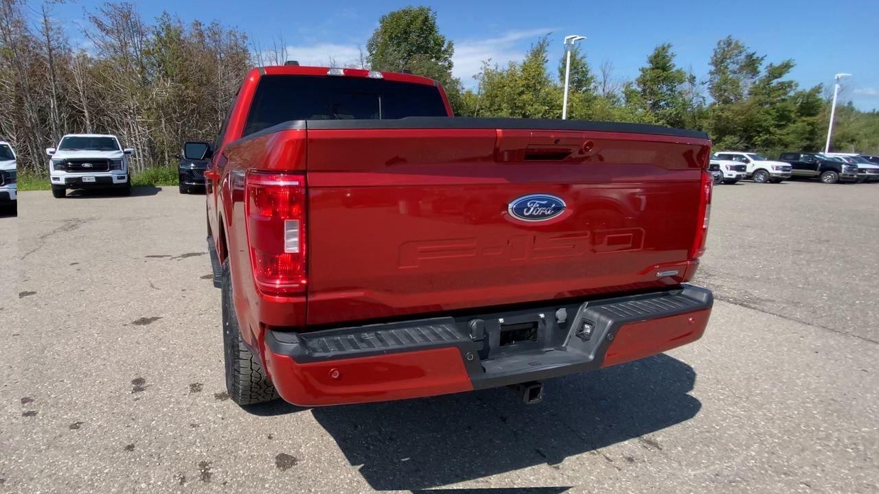 2023 Ford F-150 XLT Photo