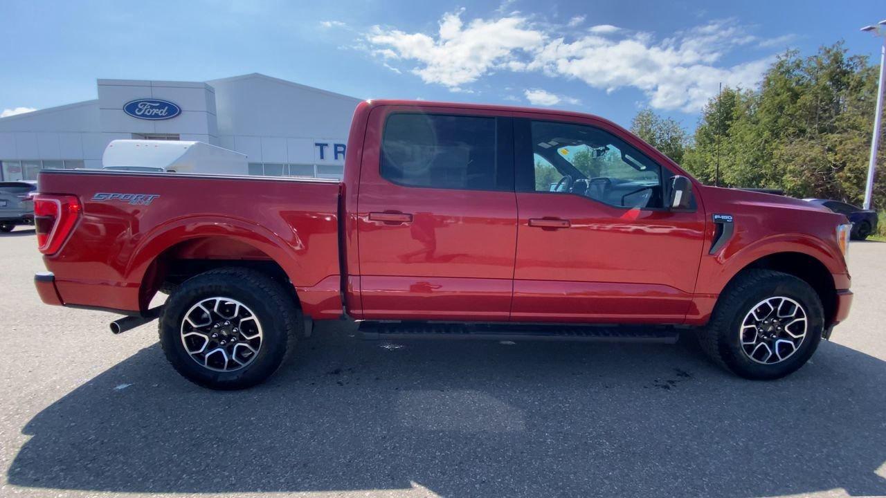 2023 Ford F-150 XLT Photo