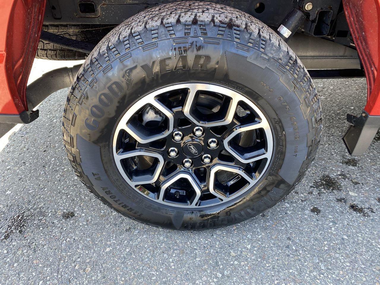 2023 Ford F-150 XLT Photo
