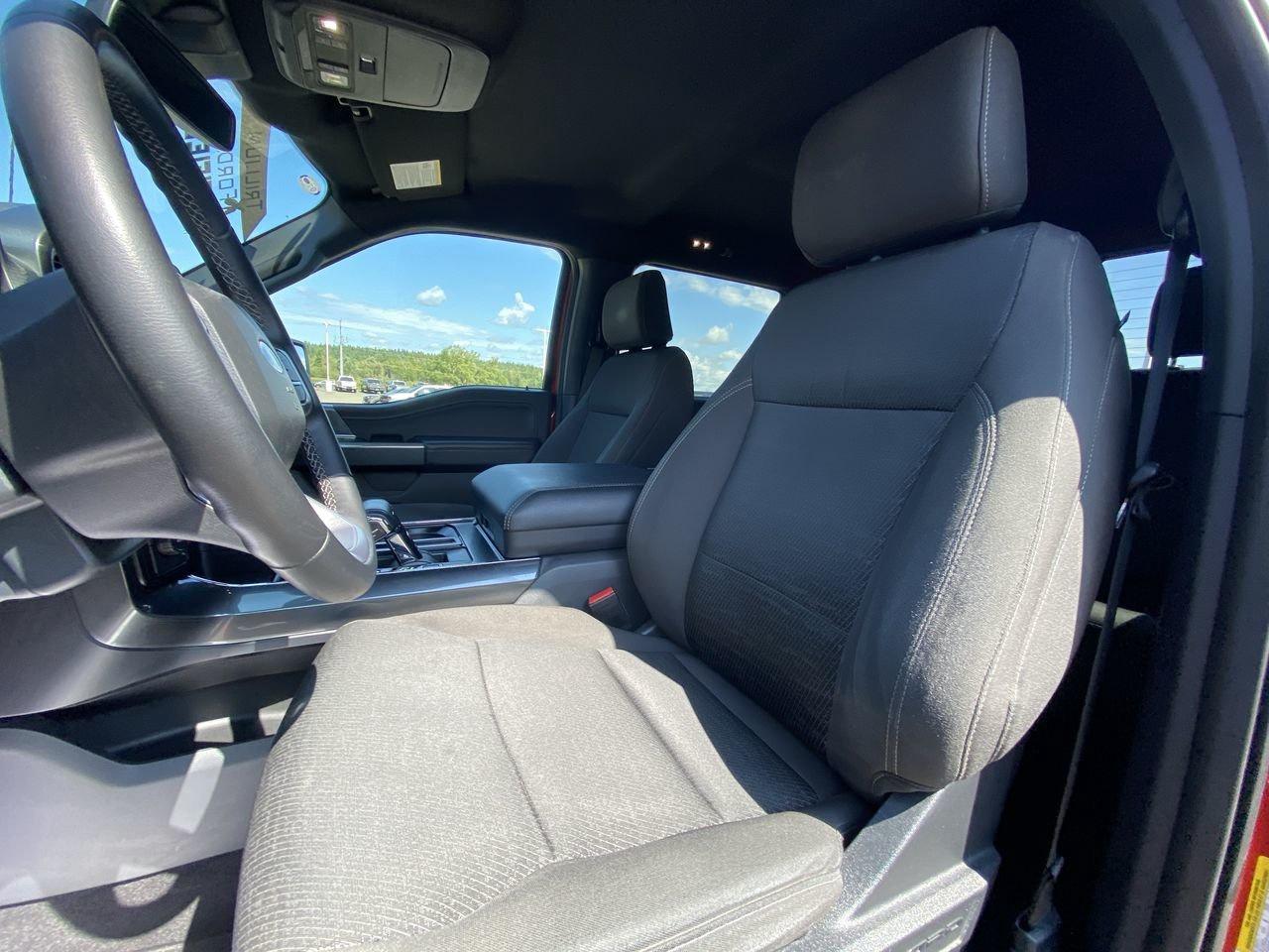 2023 Ford F-150 XLT Photo