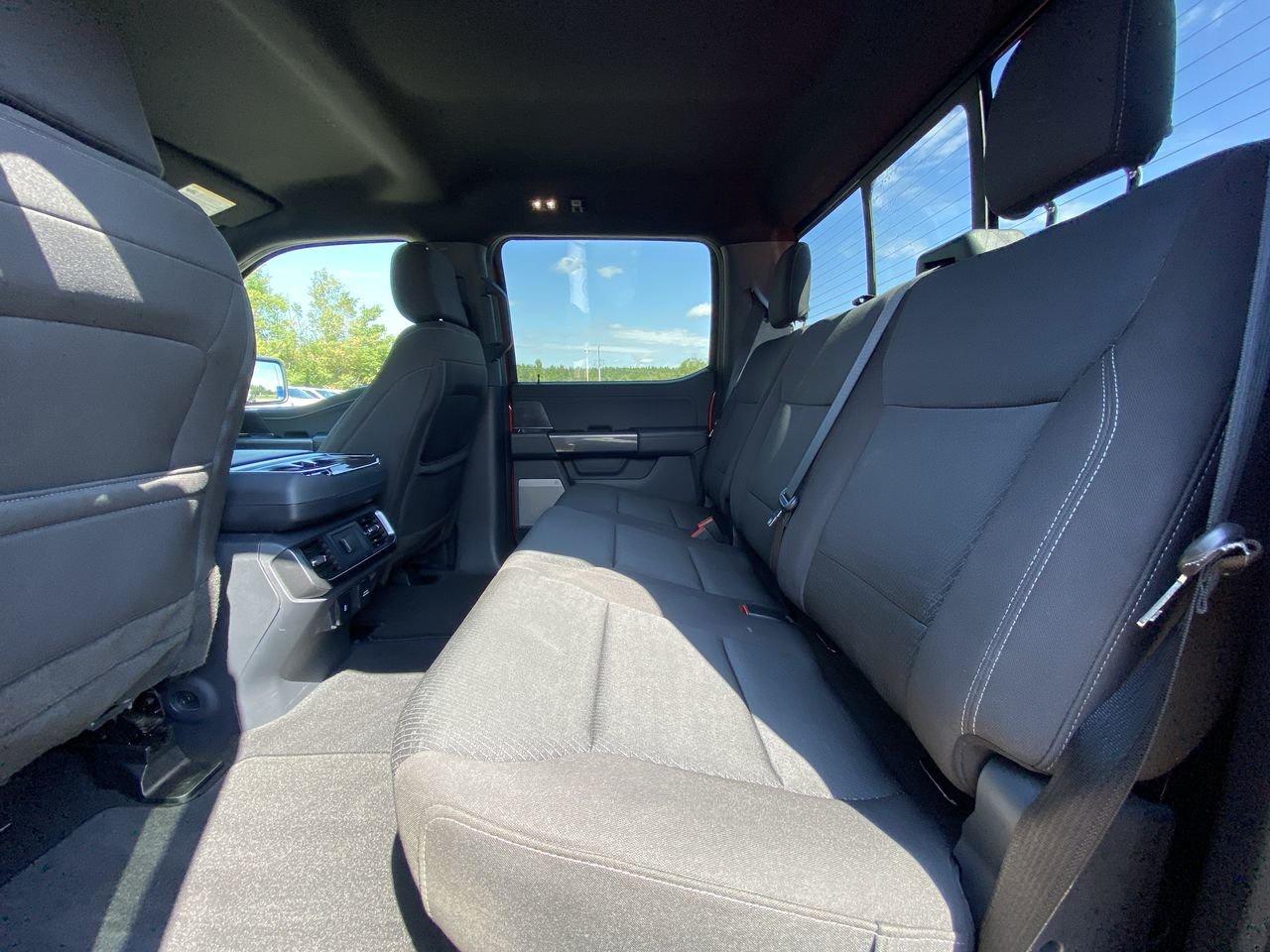 2023 Ford F-150 XLT Photo