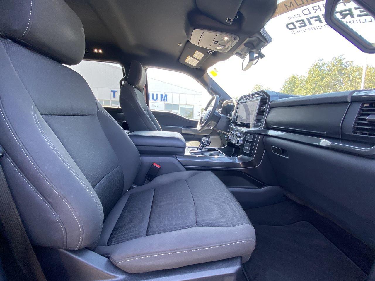 2023 Ford F-150 XLT Photo