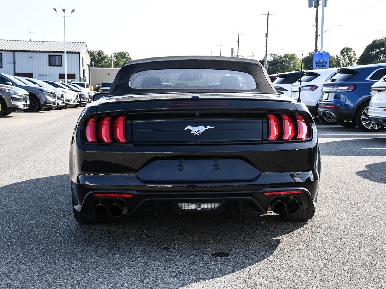 2020 Ford Mustang EcoBoost Premium Convertible Photo
