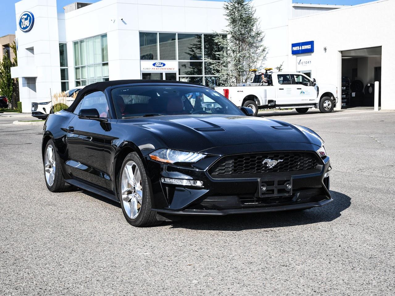 2020 Ford Mustang EcoBoost Premium Convertible Photo