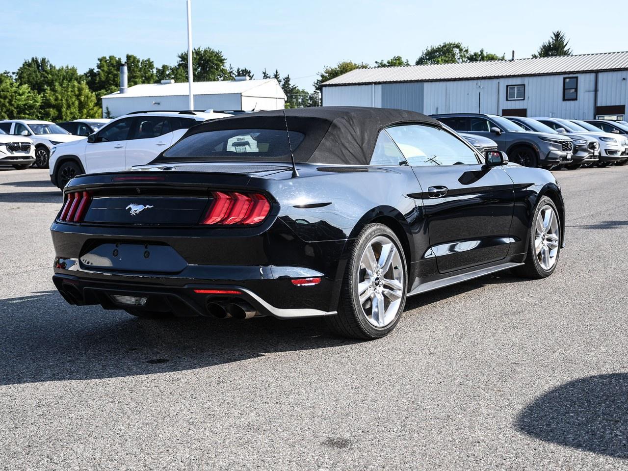 2020 Ford Mustang EcoBoost Premium Convertible Photo