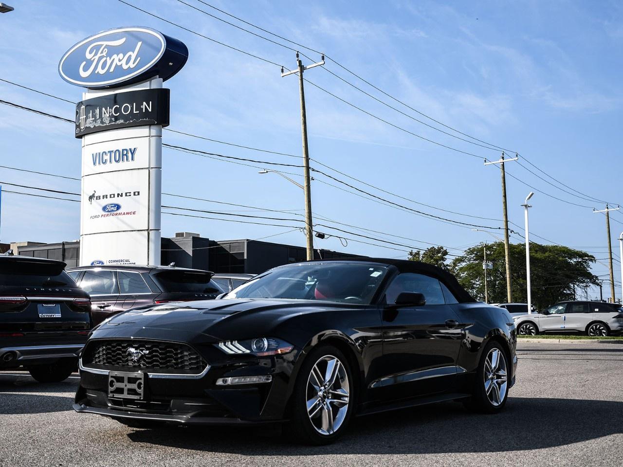 2020 Ford Mustang EcoBoost Premium Convertible Photo0