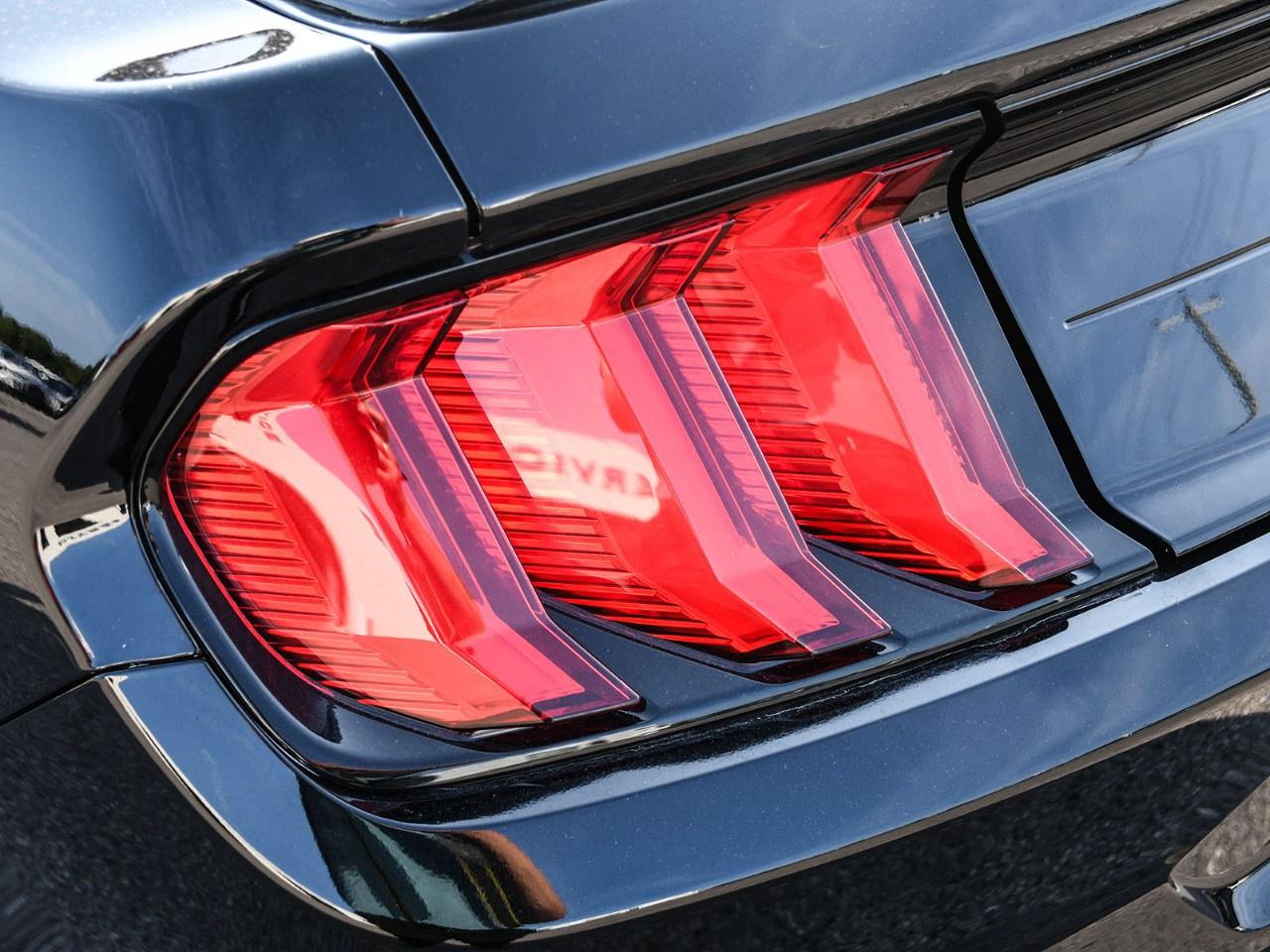 2020 Ford Mustang EcoBoost Premium Convertible Photo