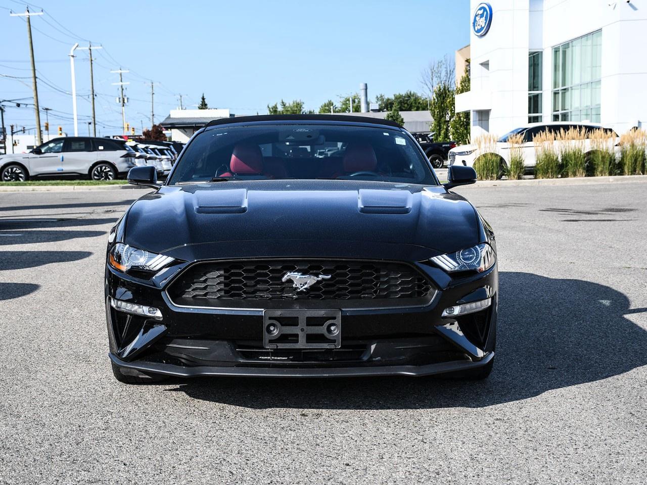 2020 Ford Mustang EcoBoost Premium Convertible Photo