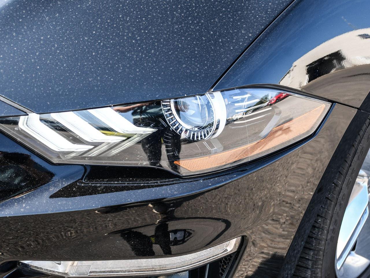 2020 Ford Mustang EcoBoost Premium Convertible Photo