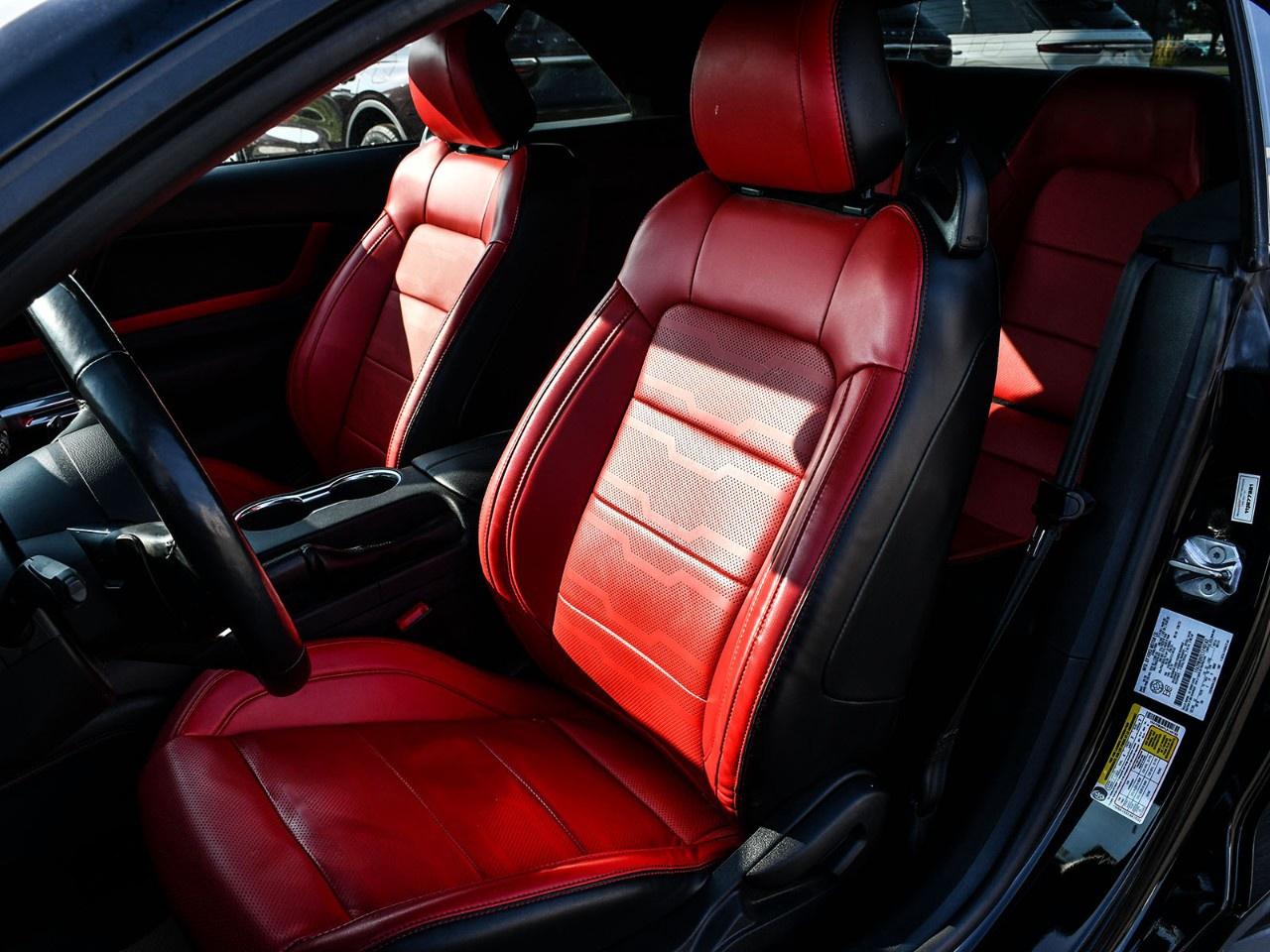 2020 Ford Mustang EcoBoost Premium Convertible Photo