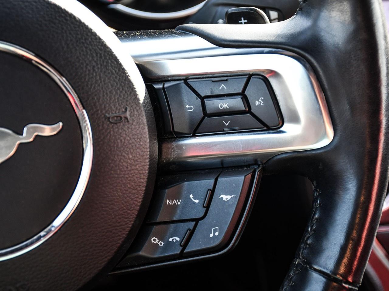 2020 Ford Mustang EcoBoost Premium Convertible Photo