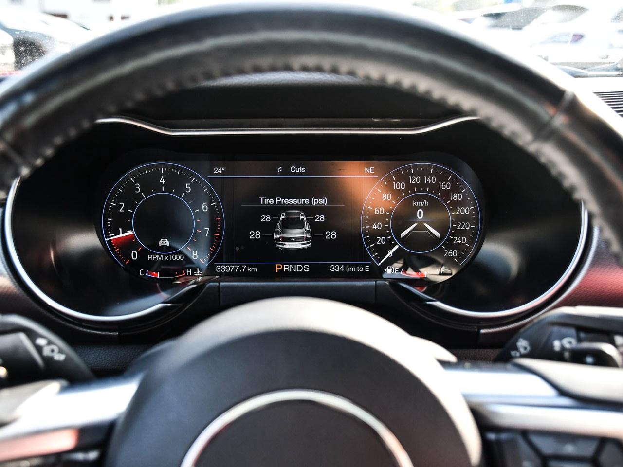 2020 Ford Mustang EcoBoost Premium Convertible Photo