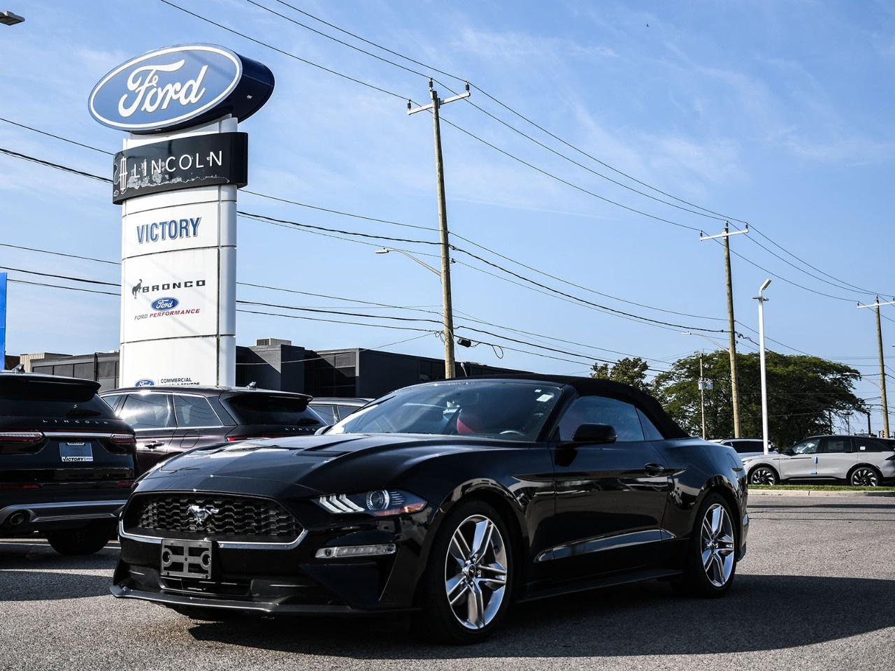2020 Ford Mustang EcoBoost Premium Convertible Photo