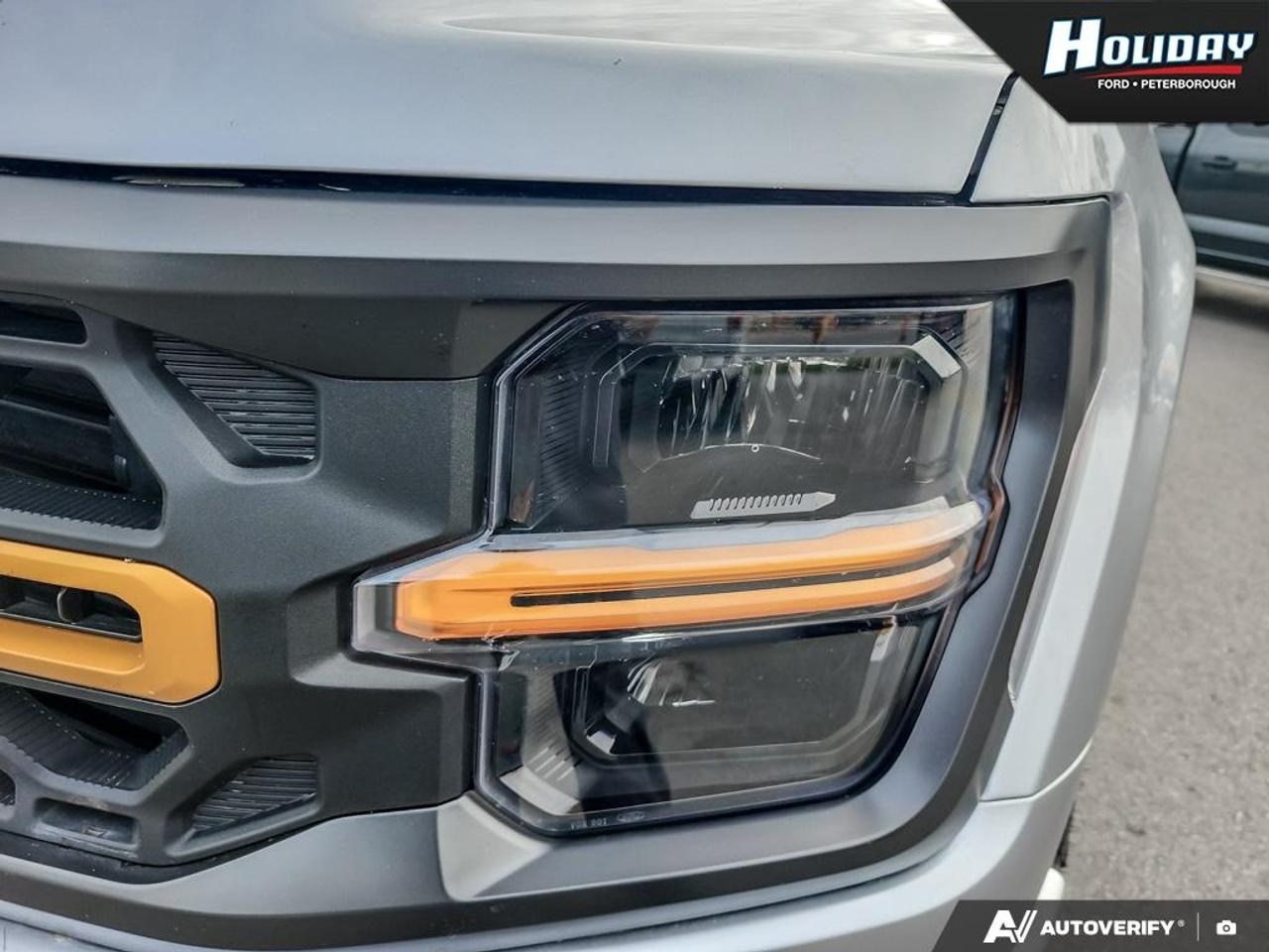2025 Ford F-150 Tremor Photo