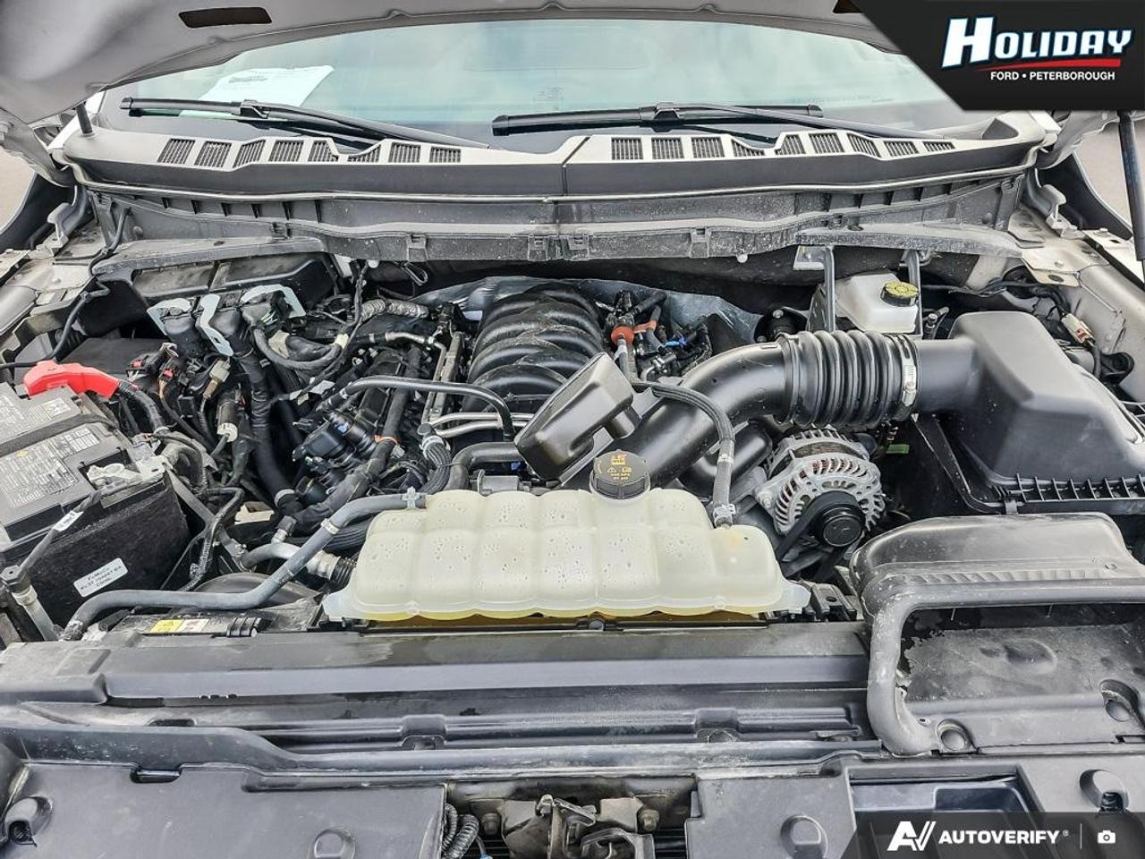 2025 Ford F-150 Tremor Photo