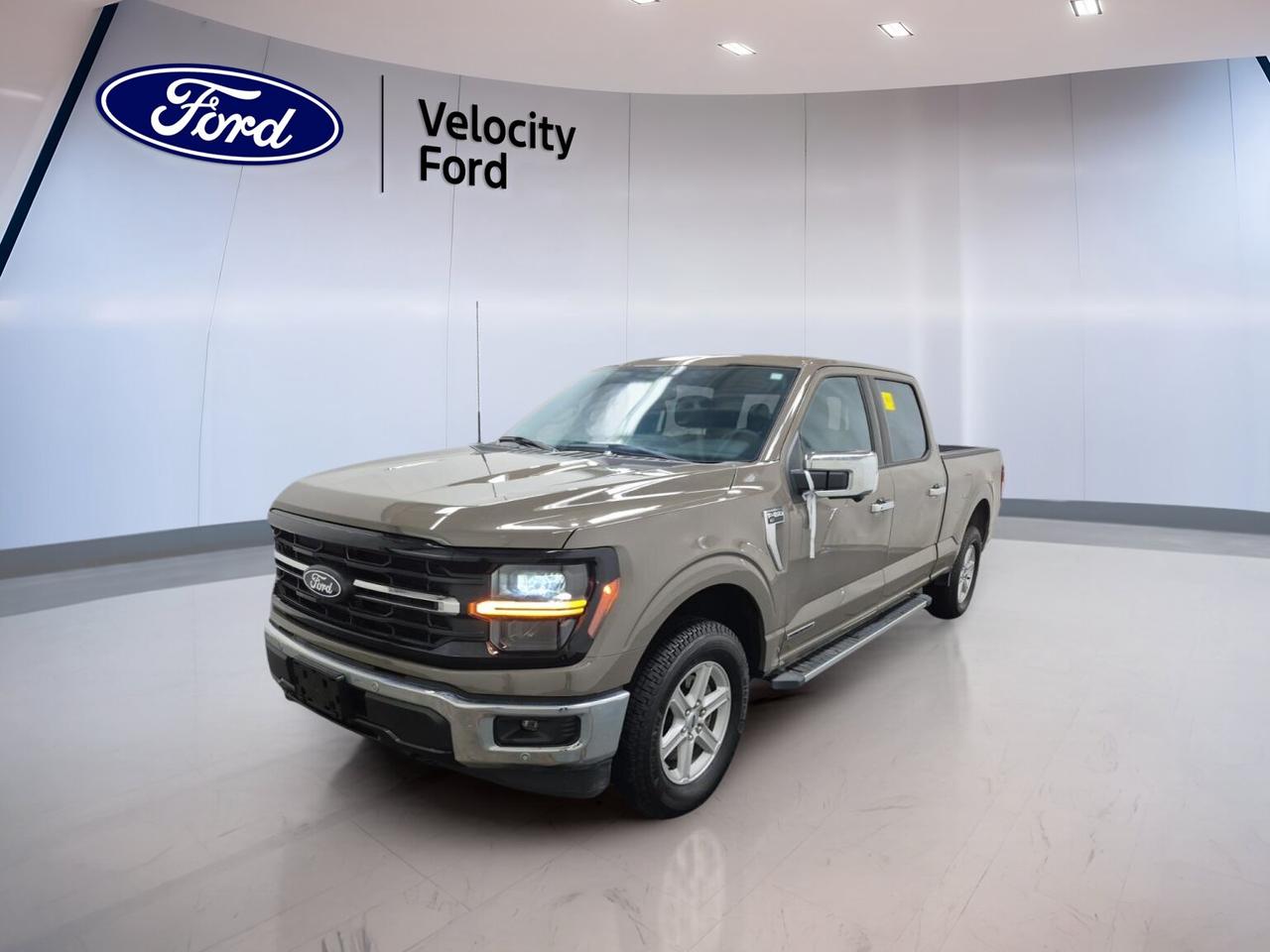 Used 2025 Ford F-150 XLT 4WD SuperCrew 6.5' Box for sale in Moose Jaw, SK