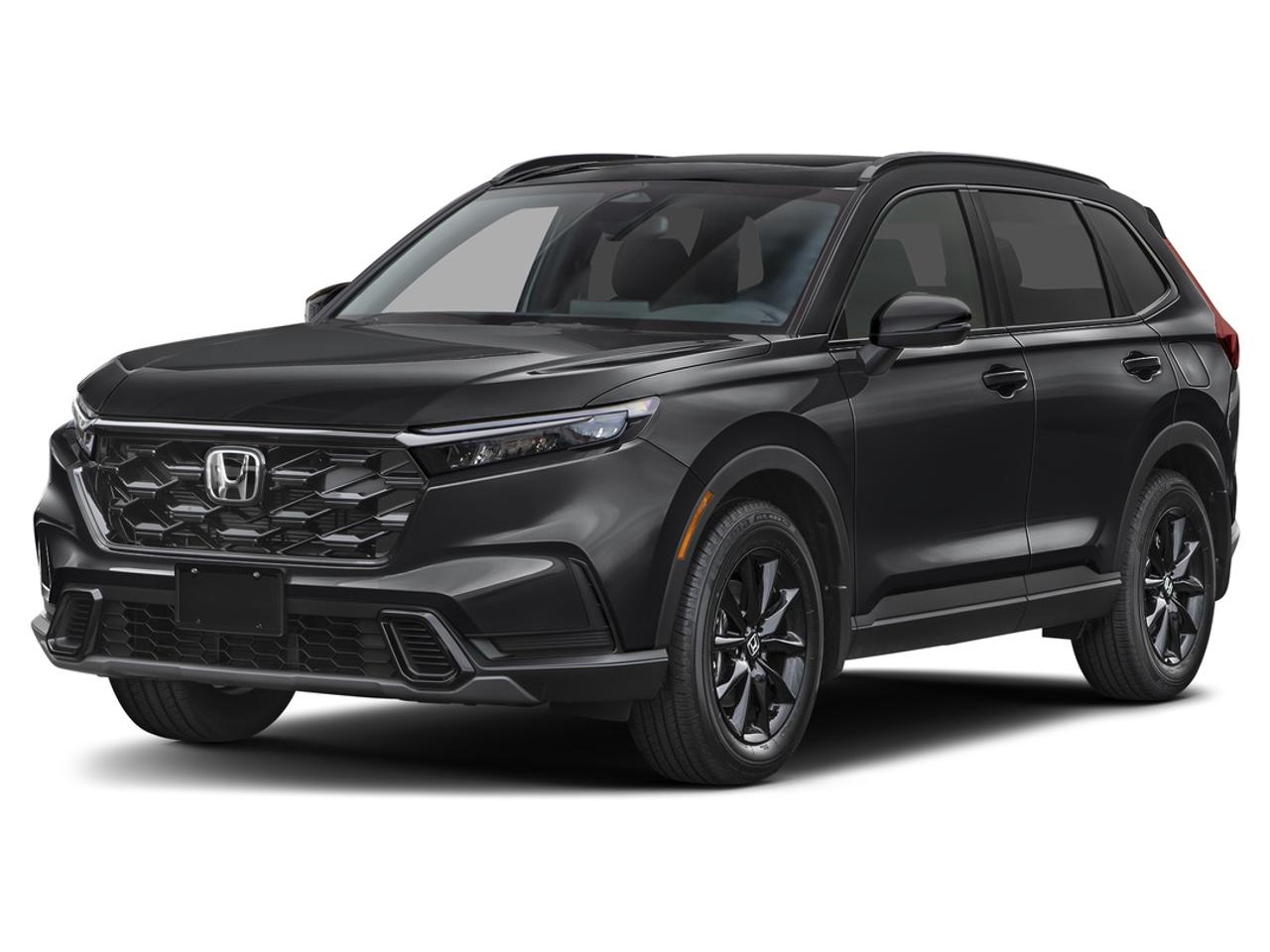 Sport AWD
