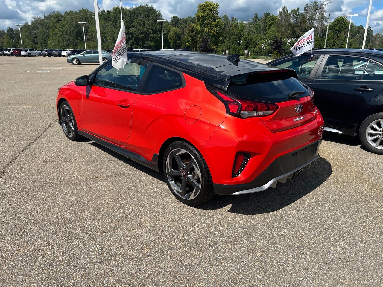 2019 Hyundai Veloster  Photo2