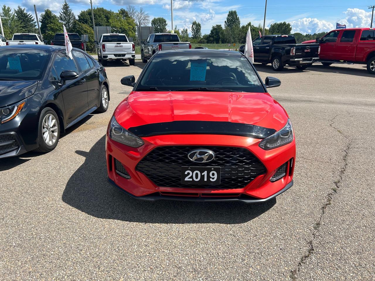 2019 Hyundai Veloster  Photo5
