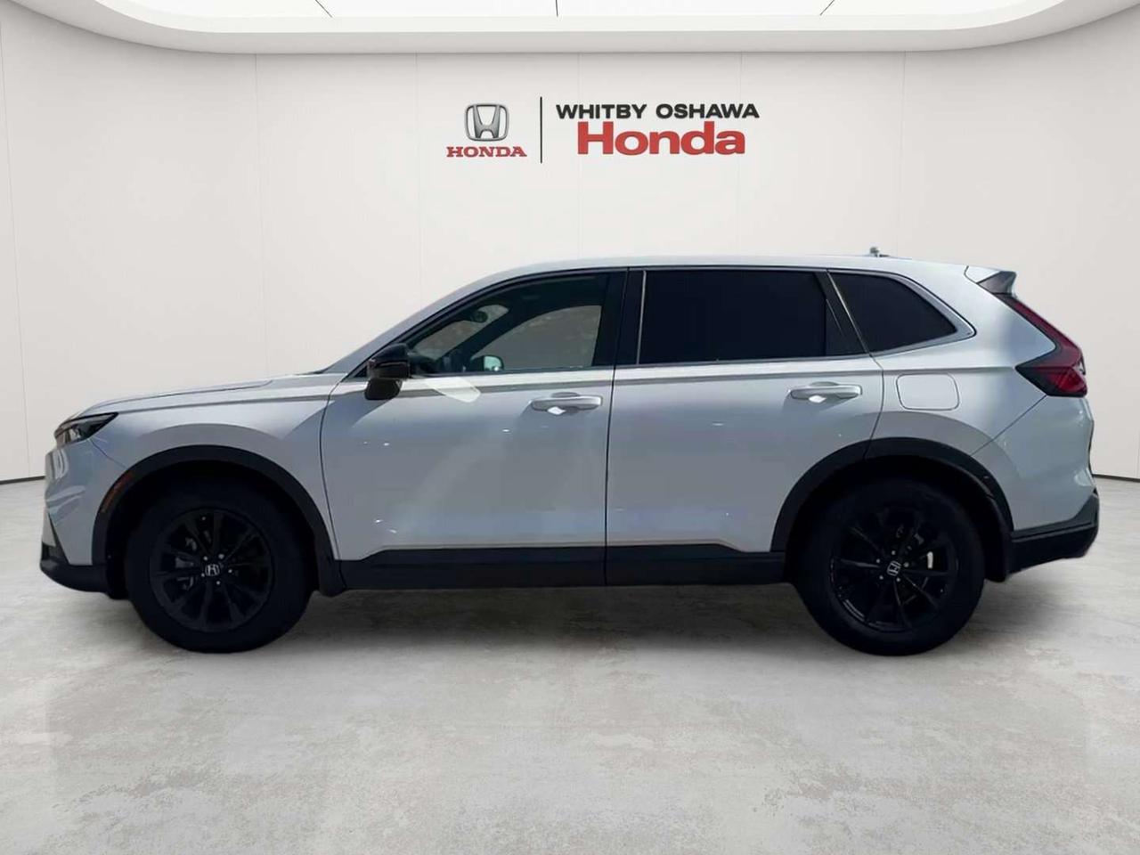 2025 Honda CR-V EX-L Photo