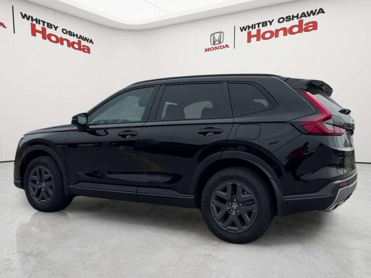 2026 Honda CR-V TrailSport Photo