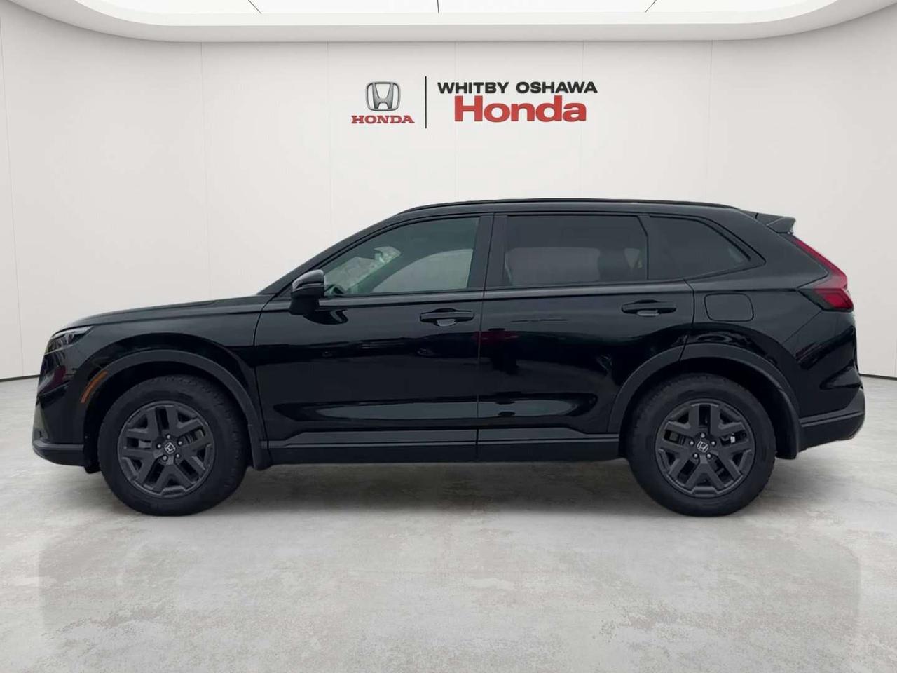 2026 Honda CR-V TrailSport Photo