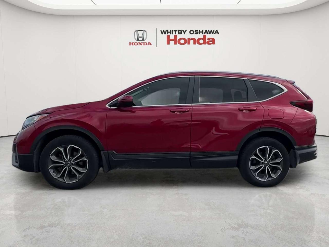 2022 Honda CR-V EX-L Photo
