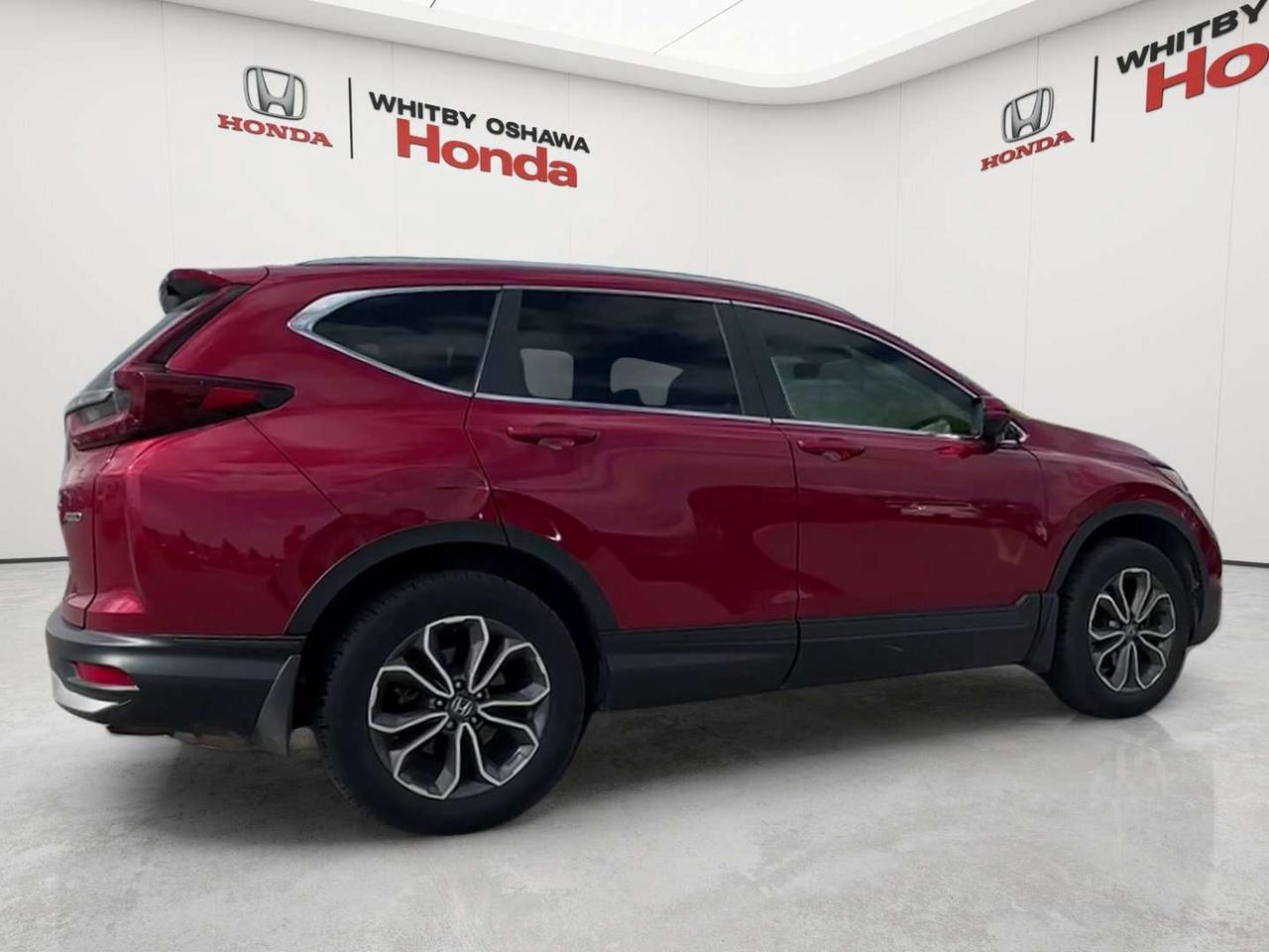 2022 Honda CR-V EX-L Photo