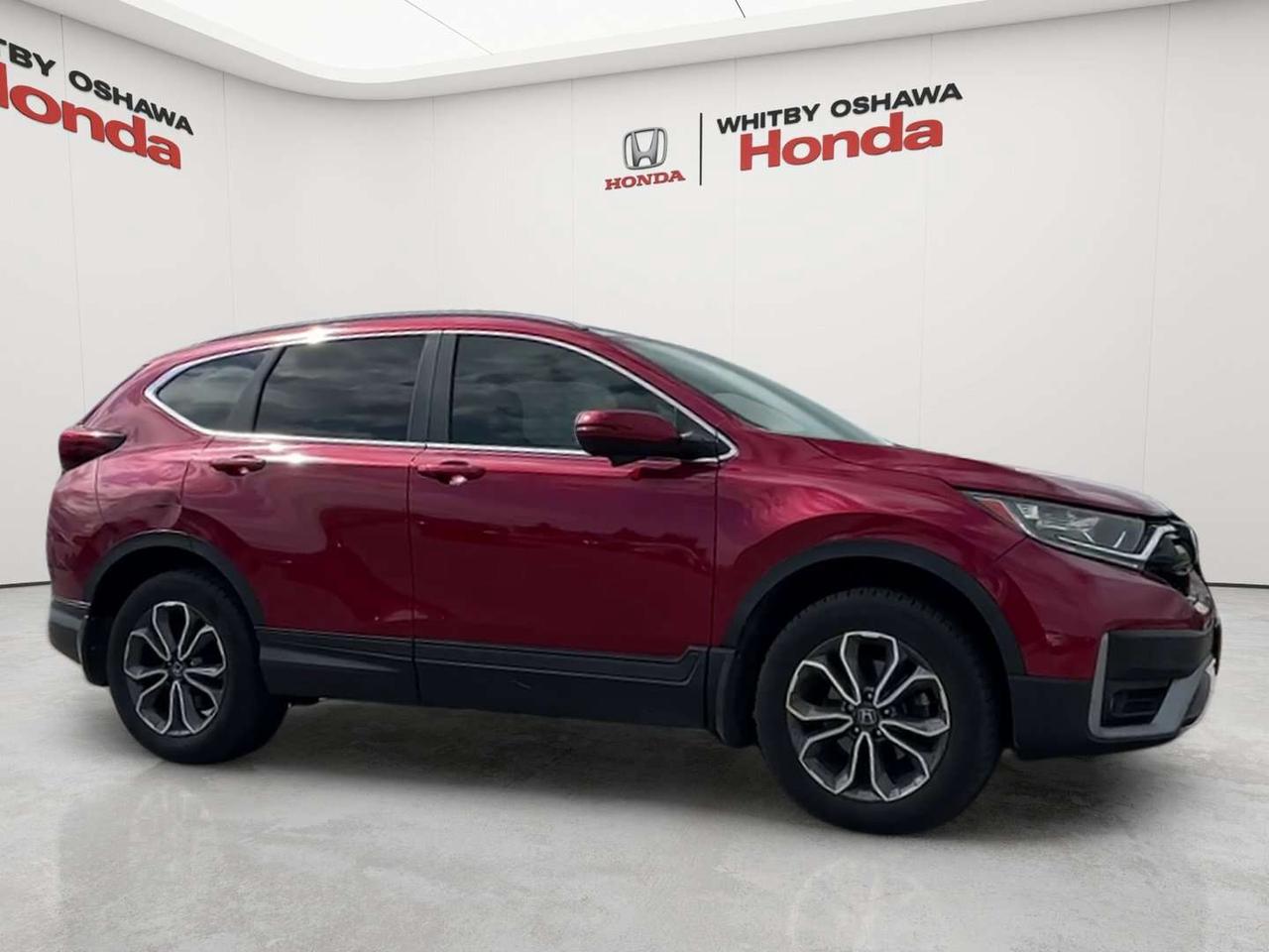 2022 Honda CR-V EX-L Photo