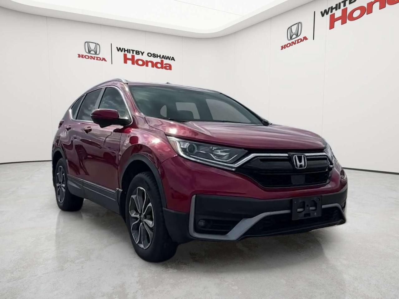 2022 Honda CR-V EX-L Photo