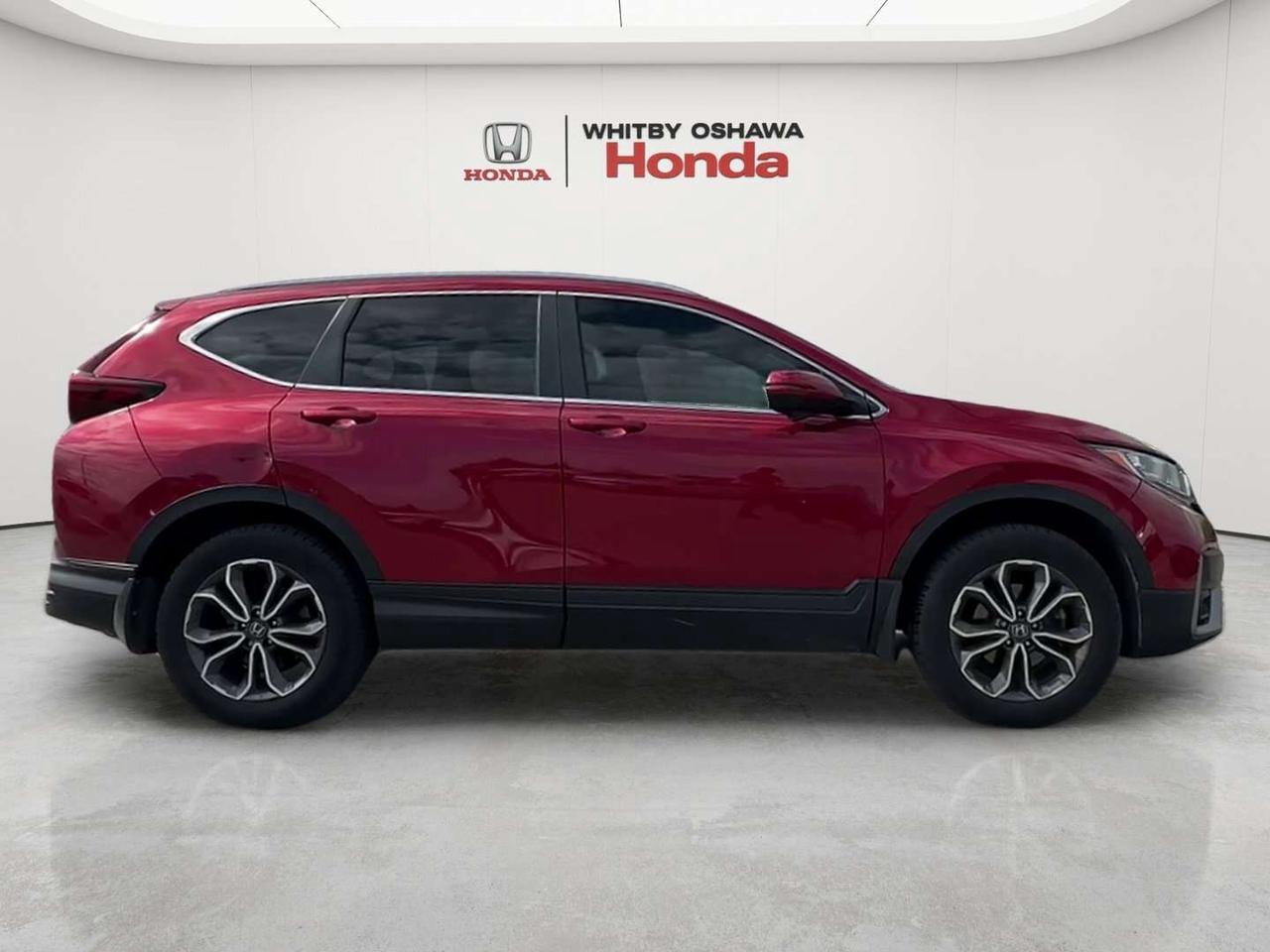 2022 Honda CR-V EX-L Photo
