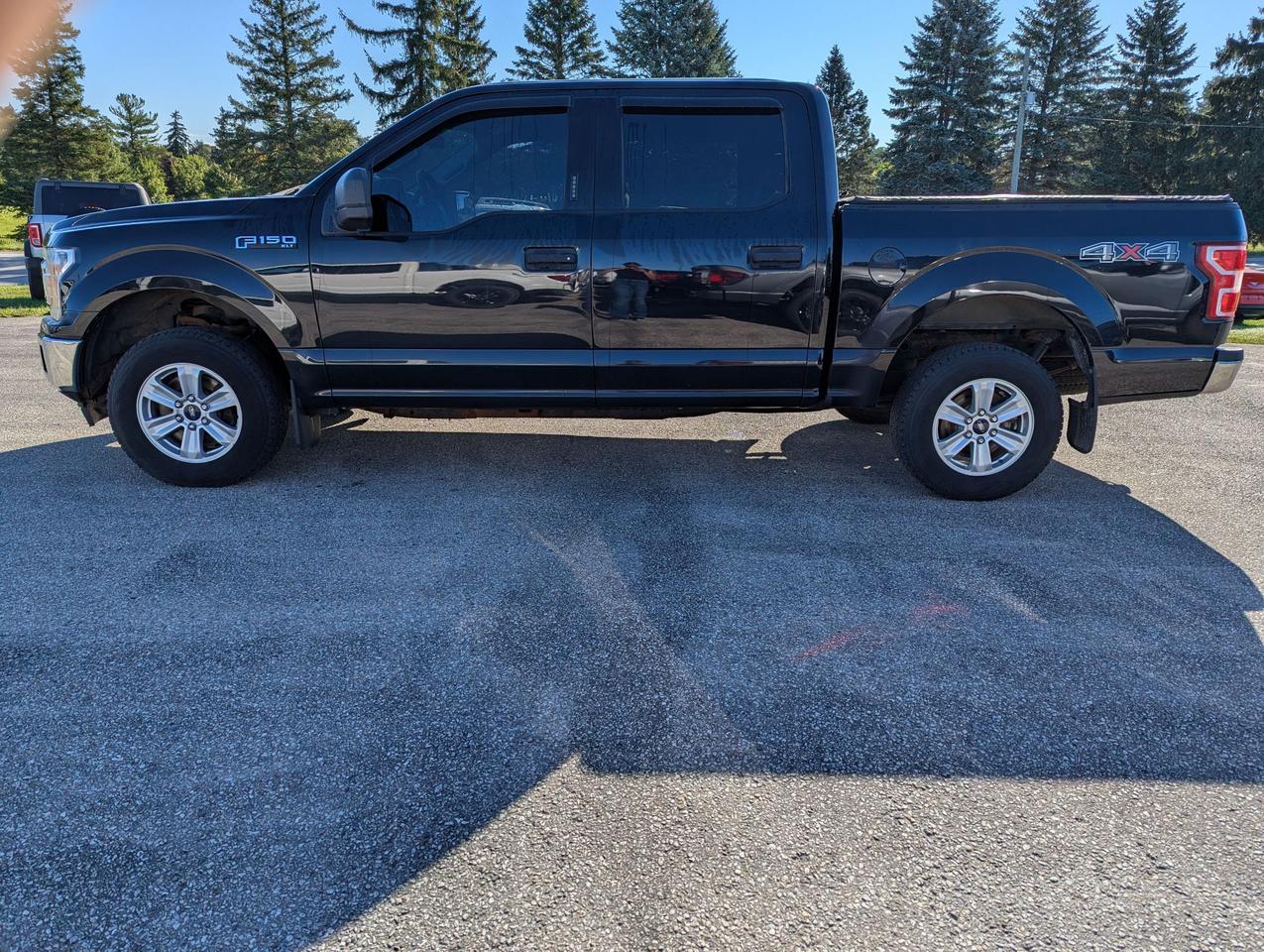 2018 Ford F-150 XLT 4WD SuperCrew 5.5' Box Photo2