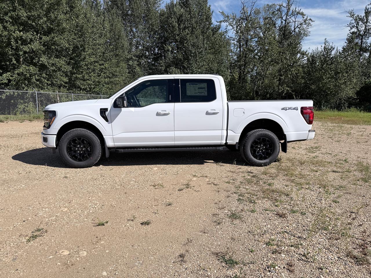 2026 Ford F-150 XLT Photo3