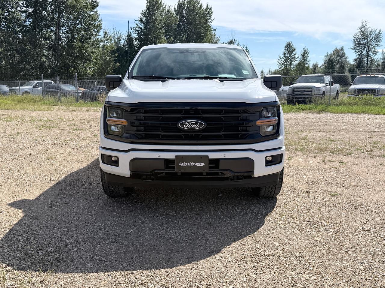 2026 Ford F-150 XLT Photo1