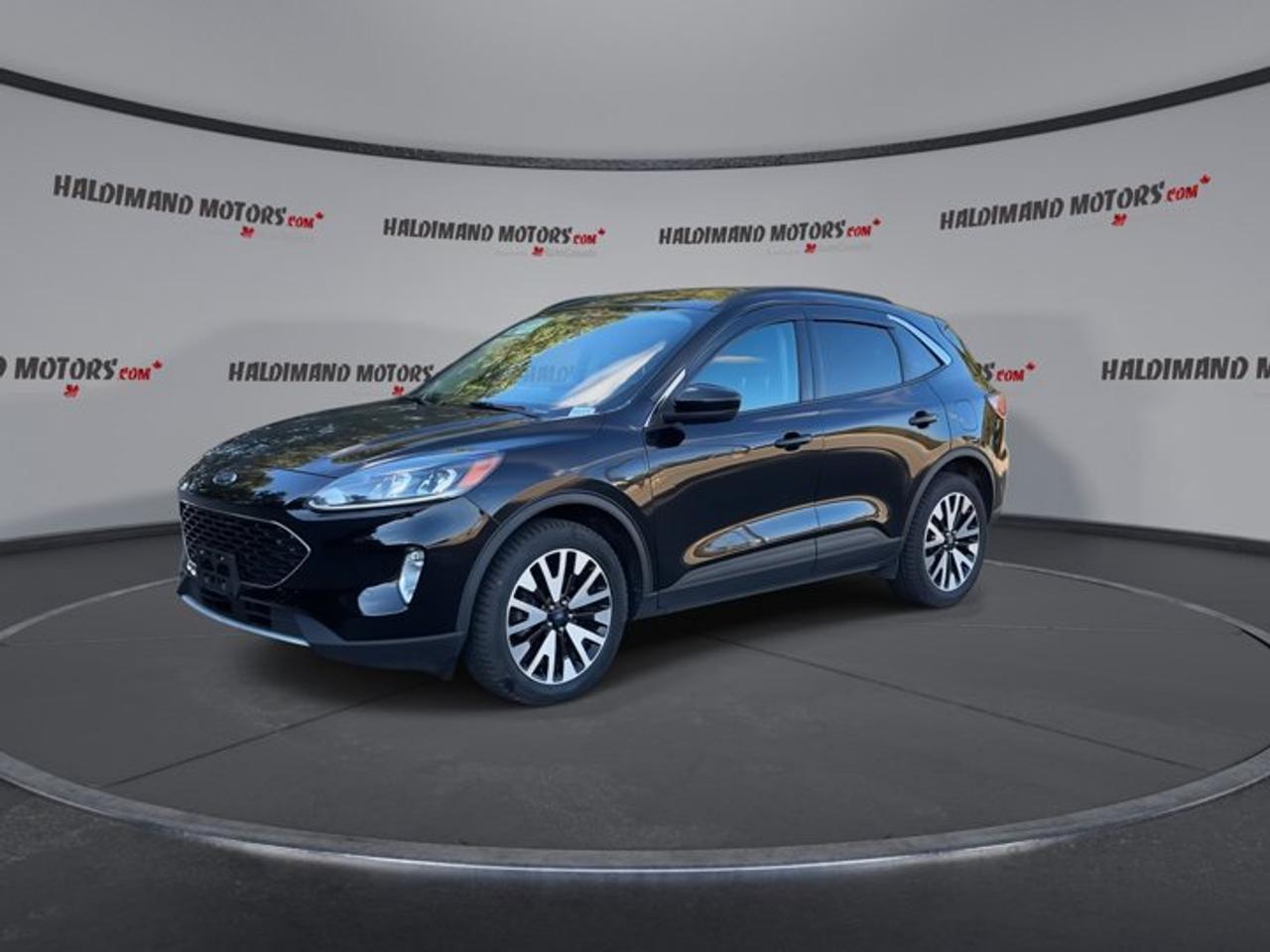 2020 Ford Escape SEL AWD | No Accidents | Panoramic Roof | Leather Seats Photo