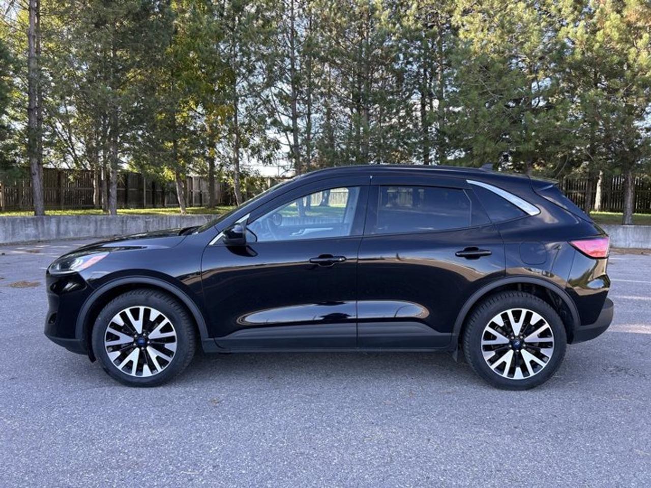 2020 Ford Escape SEL AWD | No Accidents | Panoramic Roof | Leather Seats Photo