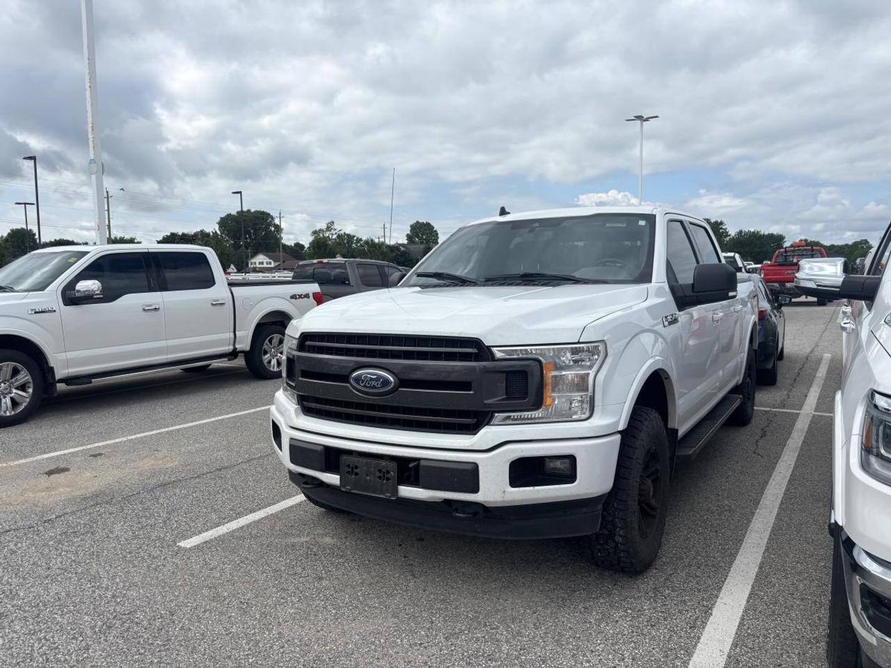 Used 2019 Ford F-150 XLT 4WD SuperCrew 5.5' Box for sale in Watford, ON