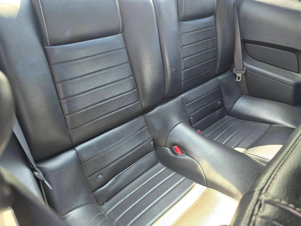 2010 Ford Mustang 2dr Cpe GT Photo