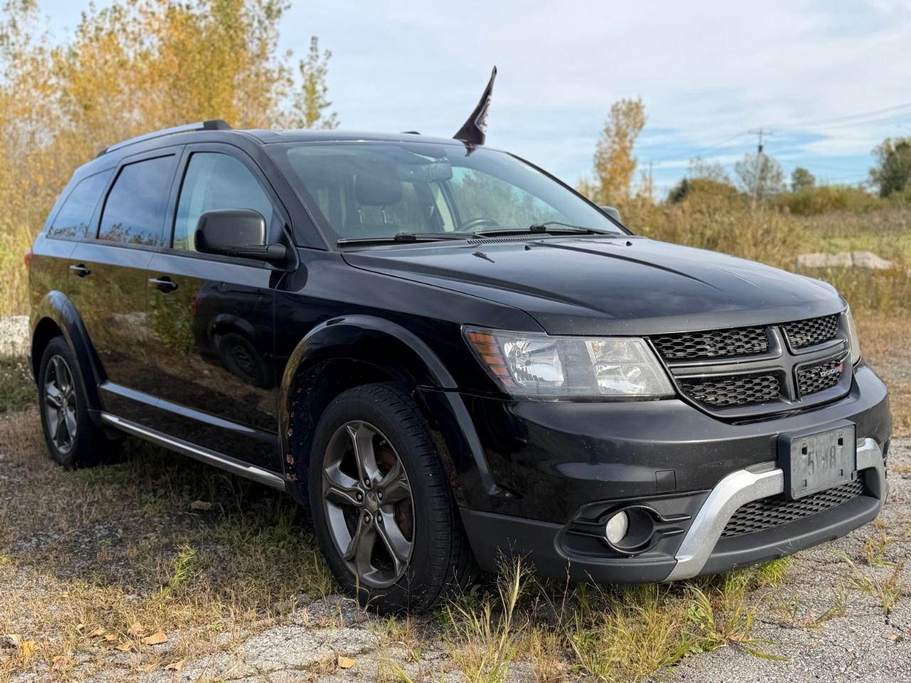 2017 Dodge Journey AWD 4DR CROSSROAD Photo