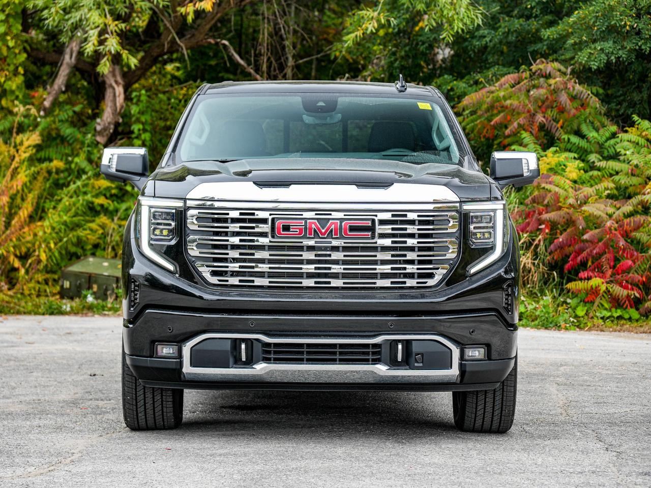 2026 GMC Sierra 1500 Denali Photo