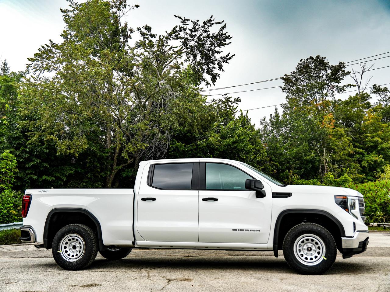 2026 GMC Sierra 1500 PRO Photo