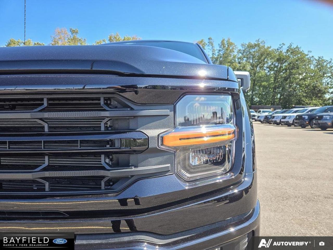 2026 Ford F-150 XLT Photo