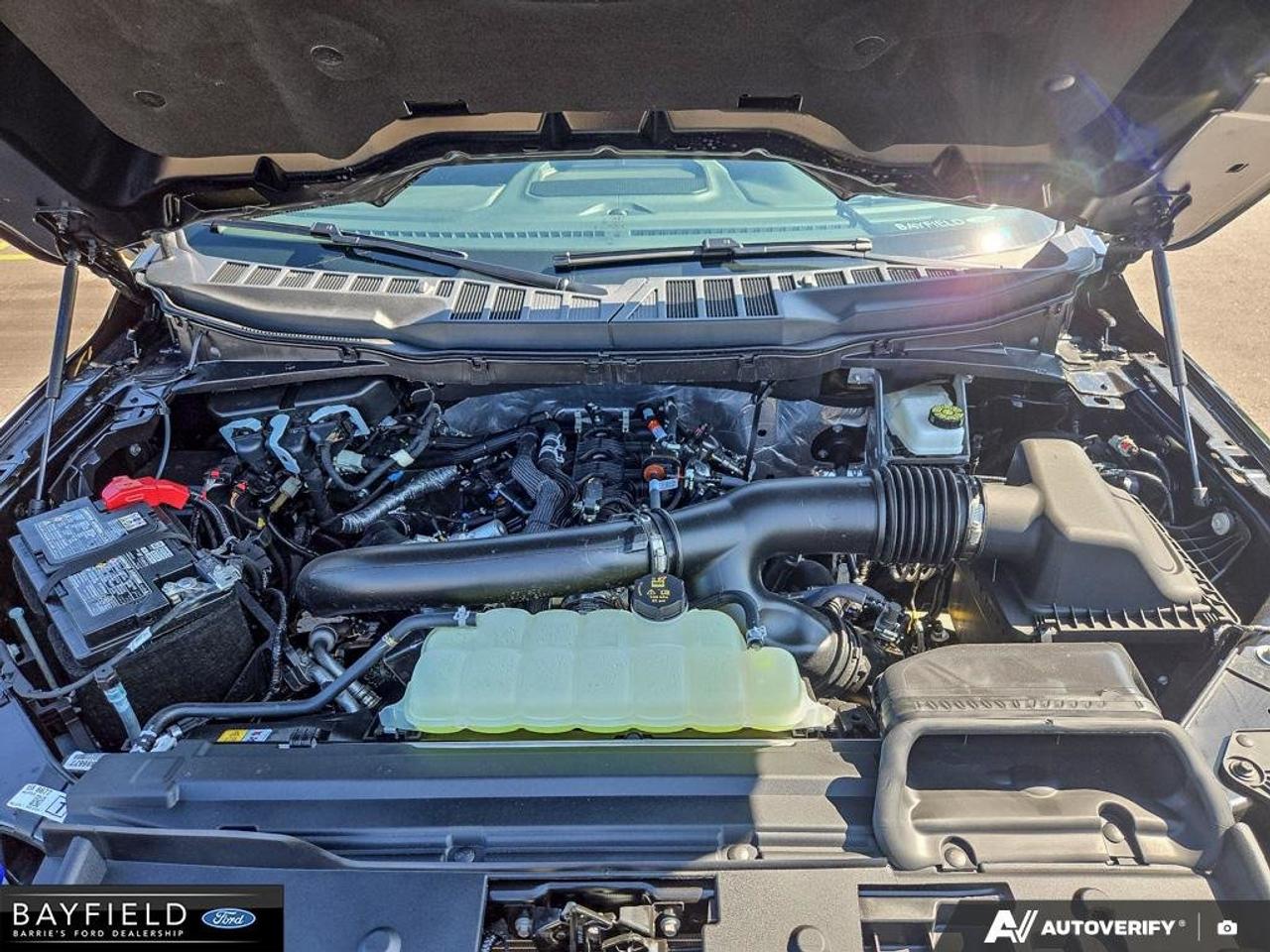2026 Ford F-150 XLT Photo