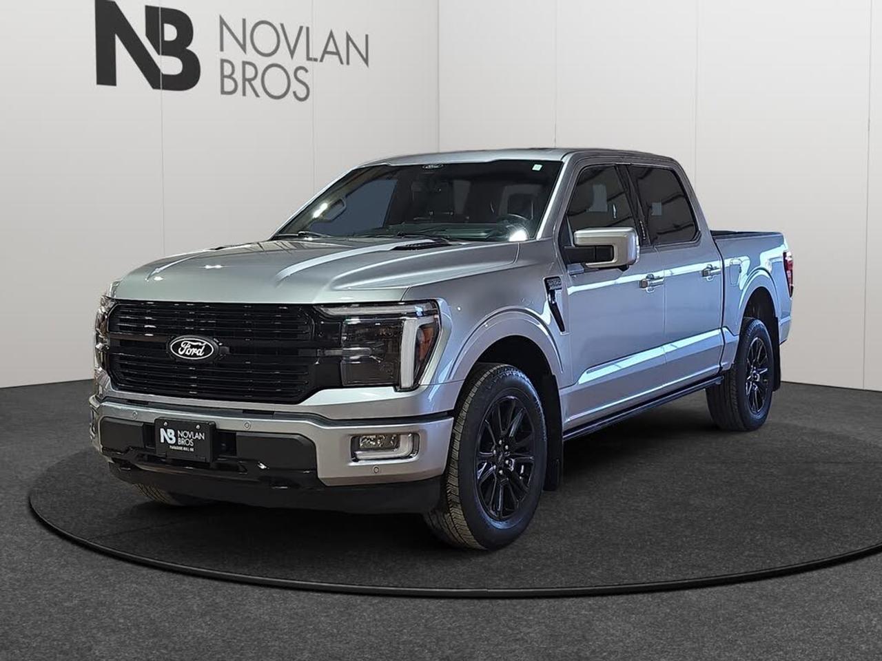 2024 Ford F-150 Platinum Photo0