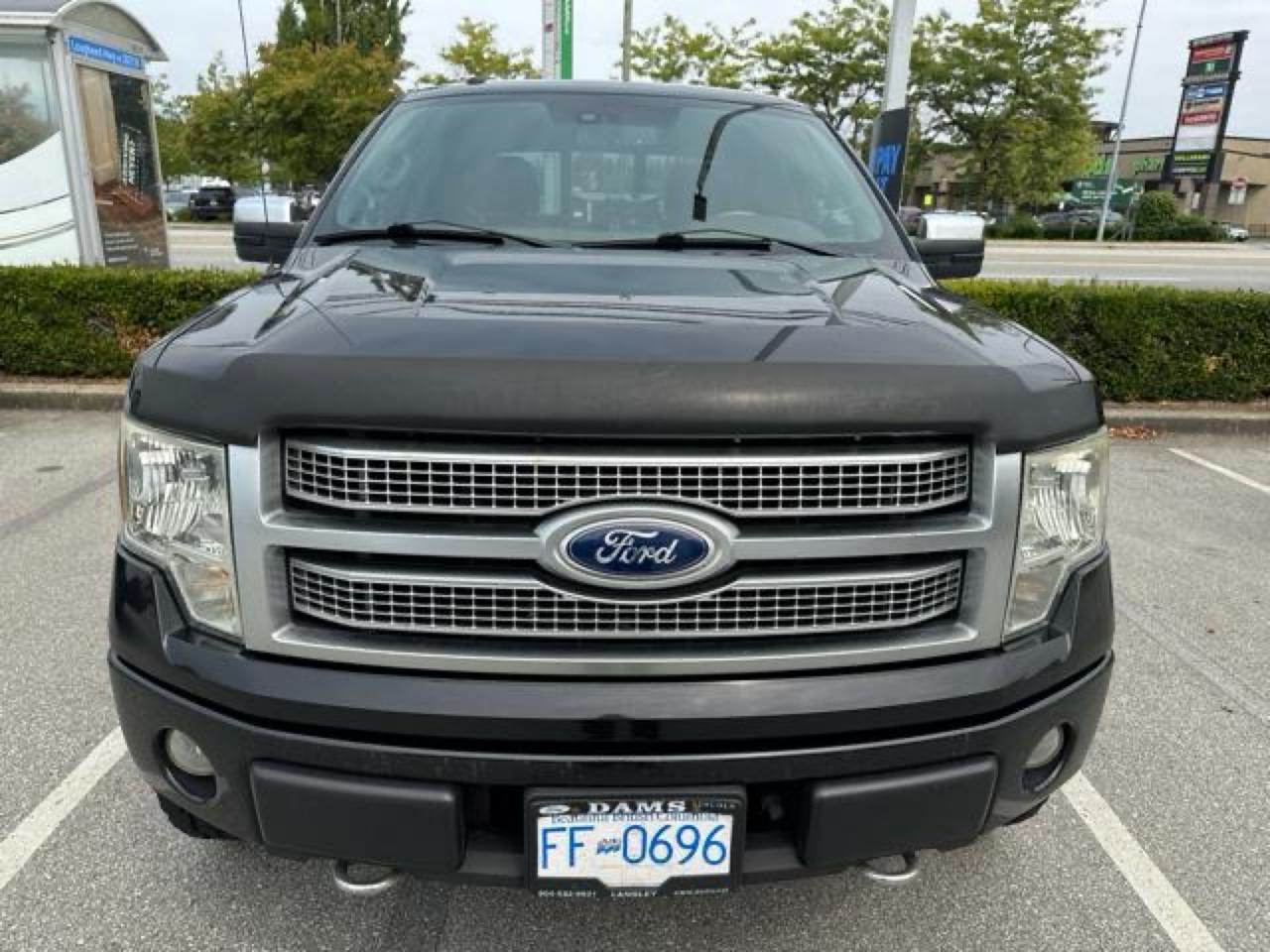 2010 Ford F-150 XLT Photo