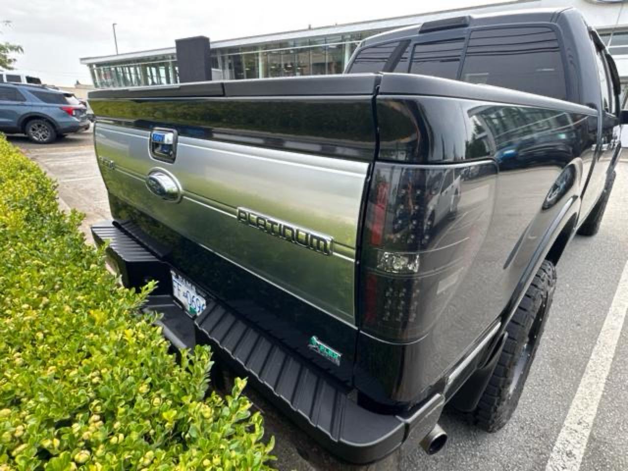 2010 Ford F-150 XLT Photo